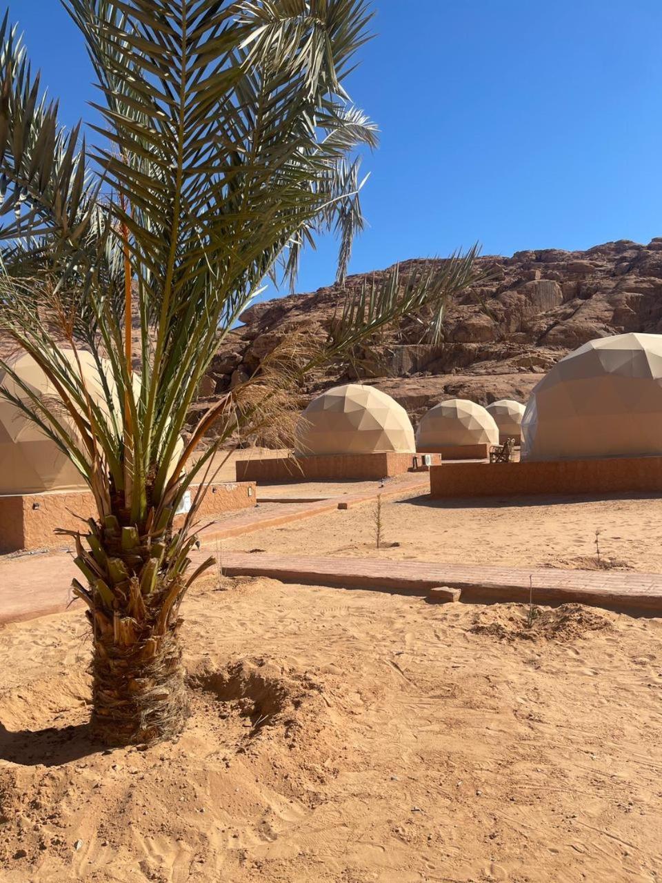 Wadi Rum Aviva Camp 외부 사진