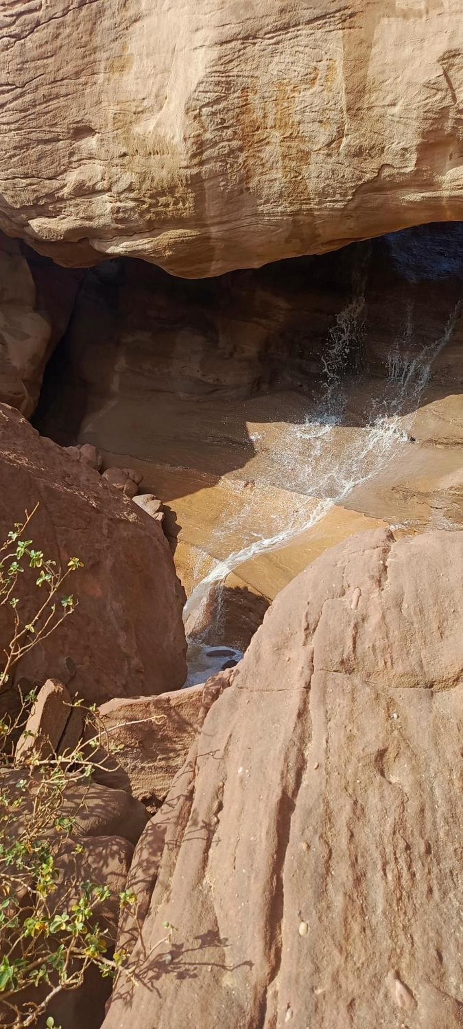 Wadi Rum Aviva Camp 외부 사진