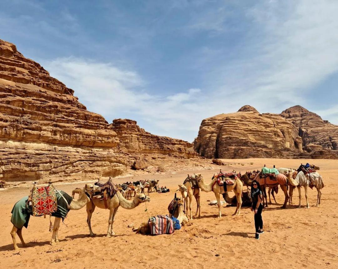 Wadi Rum Aviva Camp 외부 사진